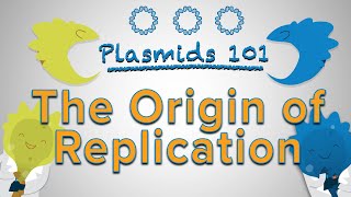 Origin of Replication  Plasmids 101 [upl. by Ecyle]