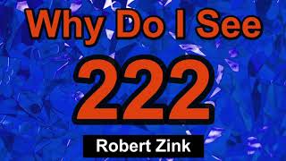 Why Do I See 222 Manifesting through Numerology with the Law of Attraction [upl. by Jairia]