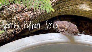 Spotted Python Enclosure Upgrade [upl. by Doi872]