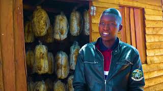 ECOSOLUTIONS  MUSHROOM FARMING IN ZIMBABWE [upl. by Ilahtan822]