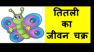 Butterfly life cycle एक तितली का जीवन चक्र  for Kids [upl. by Nnaed]