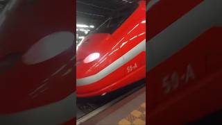 Frecciarossa in arrivo a rho fiera Milano [upl. by Licastro896]