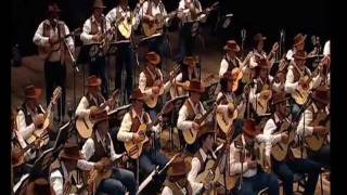 Índia  Orquestra Paulistana de Viola Caipirawmv [upl. by Tayler]