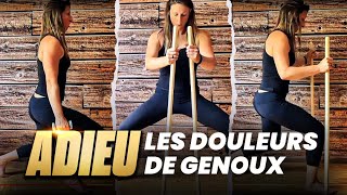 🦵RENFORCEMENT MUSCULAIRE adapté GENOU douloureux avec progressions [upl. by Sibel]