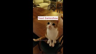 Toad Gameshow [upl. by Gaither]