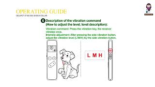 DeluPet DT66 Dog Shock Collar User Manual  Safety Instructions [upl. by Quill]