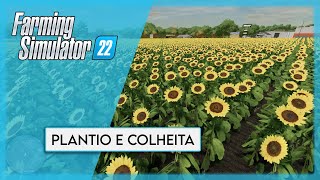 09  Culturas Trigo Cevada Canola Aveia Soja Sorgo Milho e Girassol  Farming Simulator 22 [upl. by Ivar912]