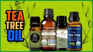 Top 5 Best Tea Tree Oils in 2022 Reviews 💯 Natural and Organic ✅ Price amp Uses ✅ Hair amp Skin [upl. by Haissi]