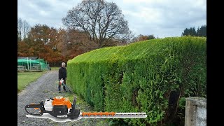 Taille de thuyas Juin 2022  Stihl HS82R amp KM130R [upl. by Assirehs]