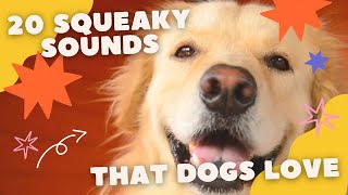 20 Squeaky Sounds that Dogs Love [upl. by Susann]