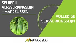 Selderij Verwerkingslijn – Marcelissen [upl. by Regdor]