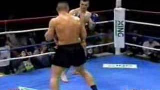 K1  Jerome Le Banner vs Mirco Cro Cop [upl. by Anileve463]