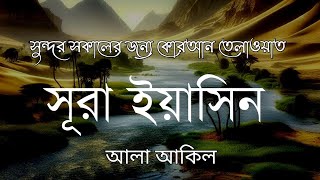 অন্তর শীতল করা মায়াবী কন্ঠে সুরা ইয়াসিন। Surah yaseen سوره يس [upl. by Winni415]