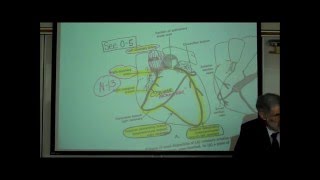 ANATOMY CIRCULATORY SYSTEM PART 4 CARDIAC DISORDERS by Professor Fink [upl. by Alysia]