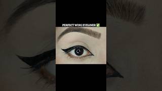 How to apply PERFECT EYELINER ✅ makeup shorts youtubeshorts shortvideo trending viralvideo [upl. by Heida]