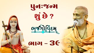 Punh Janm Shu Chhe  Bhajgovindam Bhag39  P Hariswarupdasji Swami [upl. by Ytsenoh207]