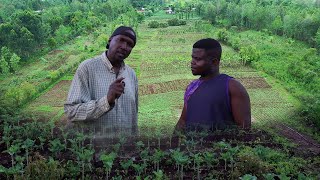 I Left America To Kenya amp Now Own 20 Acres Organic Farm [upl. by Bette-Ann]