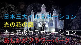 日本三大イルミネーションあしかがフラワーパーク（2024年11月） [upl. by Brass]