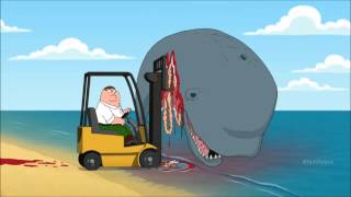 FAMILY GUY WHALE FORKLIFT [upl. by Alton]