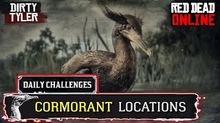 RDR2 Cormorant Locations Red Dead Online Daily Challenges [upl. by Lillis114]