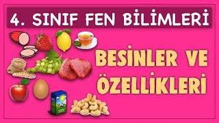 BESİNLER VE ÖZELLİKLERİ 11  4 SINIF FEN BİLİMLERİ DERSİ KONU ANLATIMI [upl. by Galateah655]