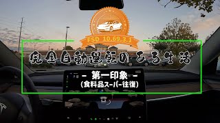 完全自動運転（FSD）のある生活 ー FSD 106931 第一印象 ー [upl. by Assened]