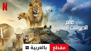 عالم الحيوانات المفترسة موسم ١ مقطع مترجمة  مقدمة بالعربية  Netflix [upl. by Nnayt]