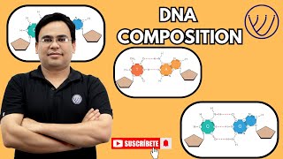 DNA COMPOSITION  BASICS OF DNA STRUCTURE  MOLECULAR BIOLOGY CSIR NET LIFE SCIENCE  NILESH SONI [upl. by Larcher152]