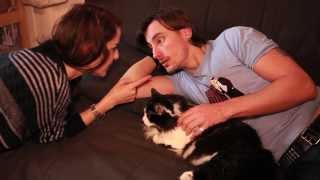 Mad Gyver  La colocation avec un chat [upl. by Garris]