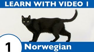 Learn Norwegian with Video  Learning Norwegian Vocabulary for Common Animals Is a Walk in the Park [upl. by Wardlaw]