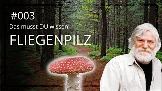 Der Fliegenpilz Amanita muscaria Dasein zwischen quotGiftquot und Glück Mit Wolfgang Bauer [upl. by Attolrac]