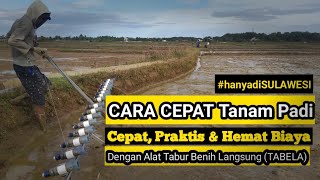 Cara cepat tanam padi  Alat Tanam Padi TABELA  Inspirasi Petani [upl. by Fawcett]