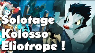 Dofus  Solotage du Kolosso en Eliotrope [upl. by Mcferren]