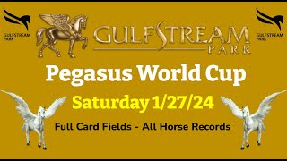 Pegasus World Cup  Gulfstream Park  Saturday 12724  Race Fields amp All Horse Records [upl. by Dercy]