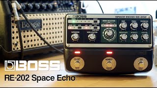 Boss RE202 Space Echo [upl. by Atirys]