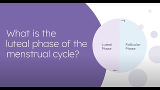 What Is the Luteal Phase of the Menstrual Cycle [upl. by Fry]