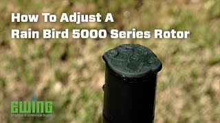 How To Adjust A Rain Bird 5000 Series Rotor [upl. by Alekal96]