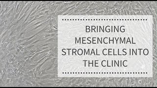 Bringing Mesenchymal Stromal Cells into the Clinic REPROCELL [upl. by Mena107]