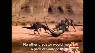 Prehistoric Fight Club episode 2 Acrocanthosaurus vs Saurophaganax [upl. by Shore]