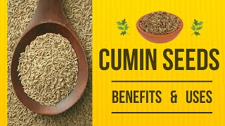 Cumin Seeds For Weight Loss  4 Best Ways To Use Cumin Seeds  Dr Vivek Joshi [upl. by Anestassia]