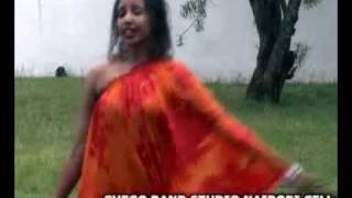 Sagal Arts Heestii GUDI New Video 2011flv [upl. by Saref]