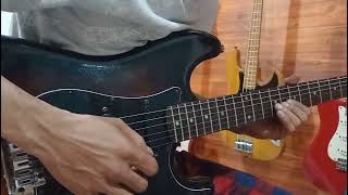 Demo Guitar Samick Stratocaster HSS [upl. by Weider]