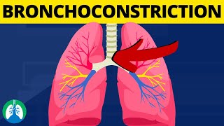 Bronchoconstriction Medical Definition  Quick Explainer Video [upl. by Nortal]