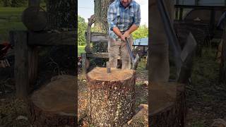 Splitting wedge vs very knotted twisted pine [upl. by Thane]