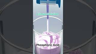 phosphoric acid with litmus solution shortsfeed practical viral chemistry neet jee [upl. by Zonnya]