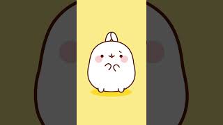 How can you stay mad at them 🐶molang dog [upl. by Junji746]