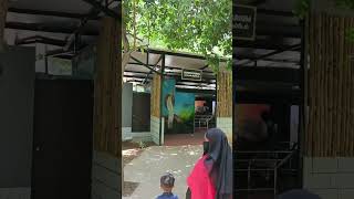 Guindy national parkChennai 113shortvideo [upl. by Fablan]