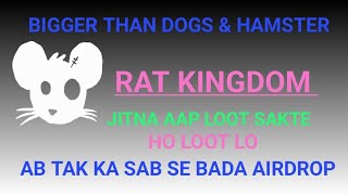 RATS kingdom airdrop  RATS new mining bot  RATS kingdom listing  Dogs  Hamaster  RatsamAirdrop [upl. by Anayit]