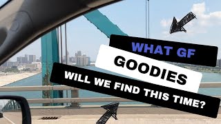 USA GF Haulshopping  🇨🇦 glutenfree finds in Detroit 🇺🇸 vlog [upl. by Smaoht820]