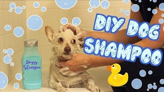 DIY Dog Shampoo  Pet DIYs [upl. by Jonny]